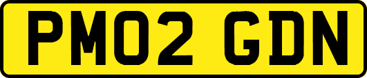 PM02GDN