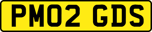 PM02GDS