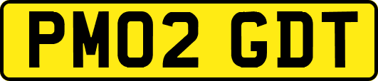 PM02GDT