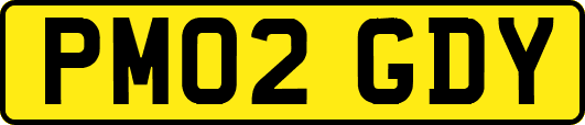 PM02GDY