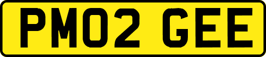 PM02GEE