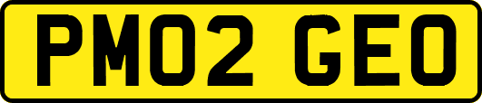 PM02GEO
