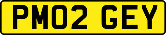 PM02GEY
