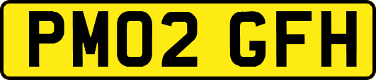 PM02GFH