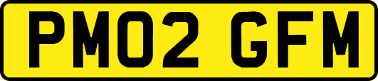 PM02GFM
