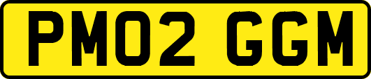 PM02GGM