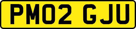 PM02GJU