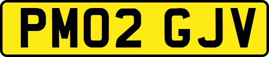 PM02GJV