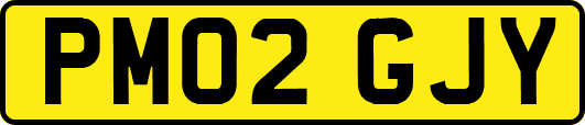 PM02GJY