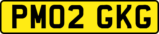 PM02GKG