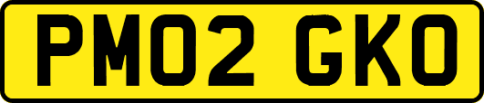 PM02GKO