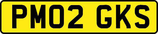 PM02GKS