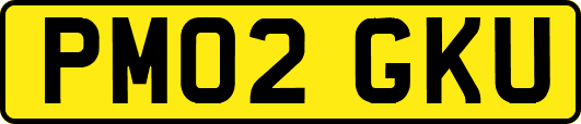 PM02GKU