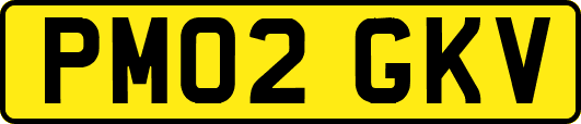 PM02GKV