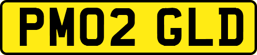 PM02GLD