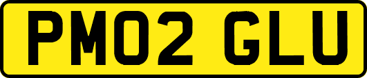 PM02GLU