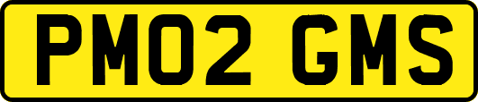 PM02GMS