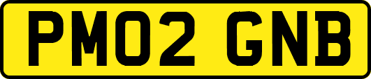 PM02GNB