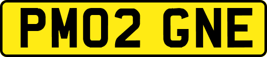 PM02GNE