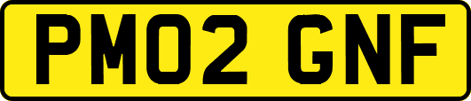 PM02GNF