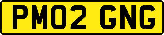 PM02GNG