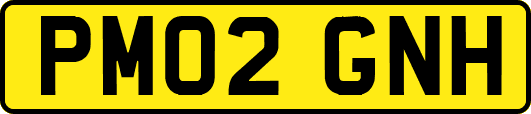 PM02GNH
