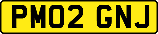 PM02GNJ