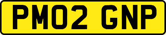 PM02GNP