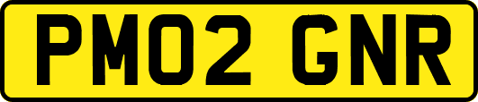 PM02GNR