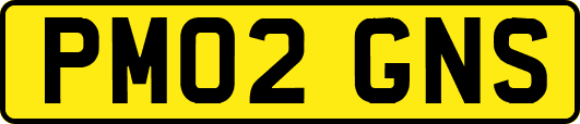 PM02GNS