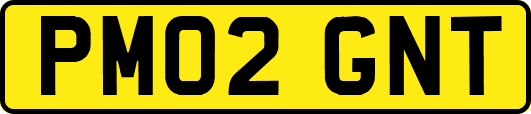 PM02GNT
