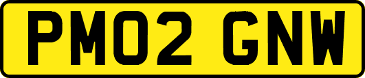 PM02GNW