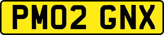 PM02GNX