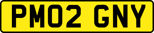 PM02GNY