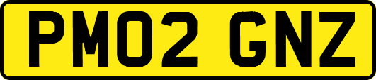 PM02GNZ
