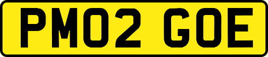 PM02GOE