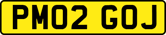 PM02GOJ