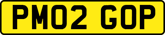 PM02GOP
