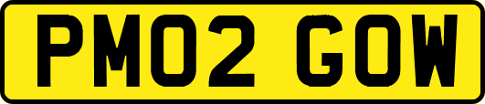 PM02GOW