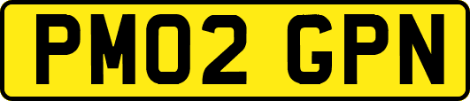 PM02GPN