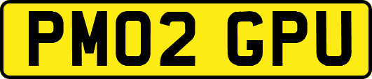 PM02GPU