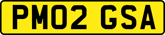 PM02GSA
