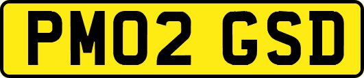 PM02GSD