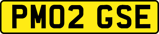 PM02GSE