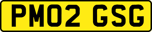 PM02GSG