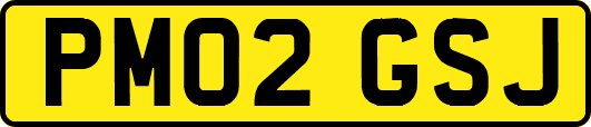 PM02GSJ