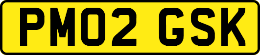 PM02GSK