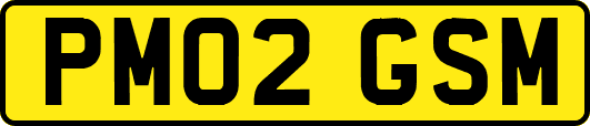 PM02GSM