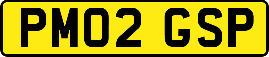 PM02GSP