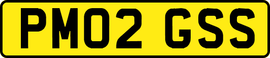 PM02GSS